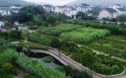 常見污水治理方法有哪些？